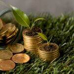La Finance Verte : Un Levier Incontournable Pour La Transition écologique ?